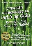 Vindecari miraculoase cu iarba de grau de Steve MEYERWITZ - miracol.ro